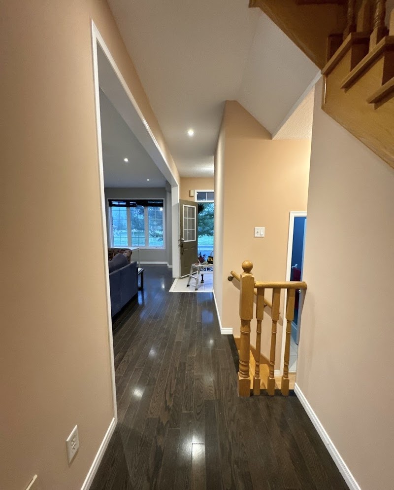 Finest Painters photo 3