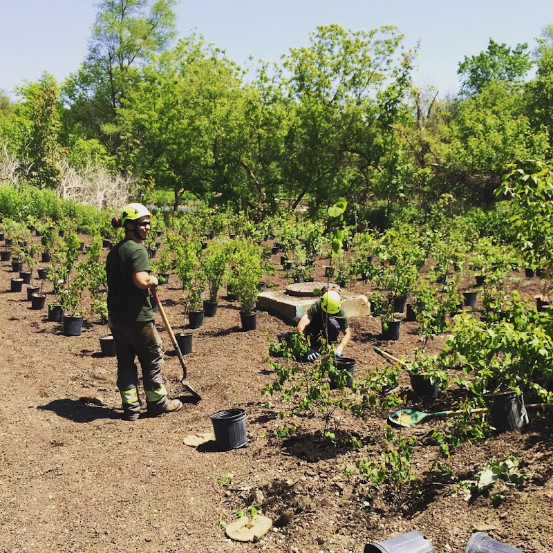 True North Tree Experts Inc. photo 3