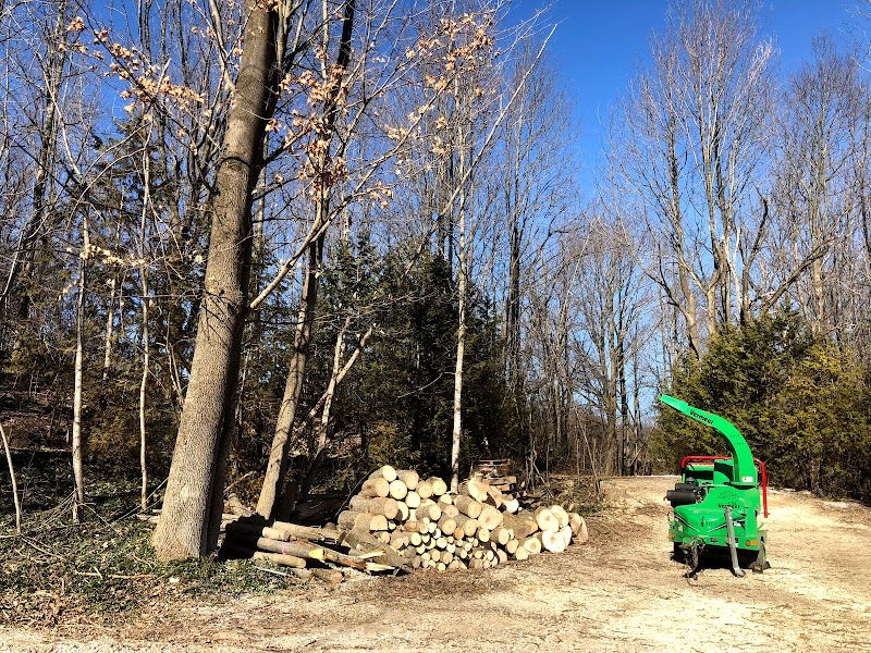 True North Tree Experts Inc. photo 4