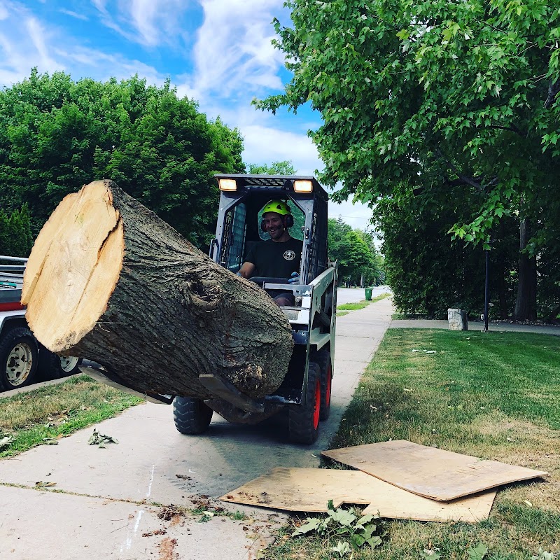 True North Tree Experts Inc. photo 5