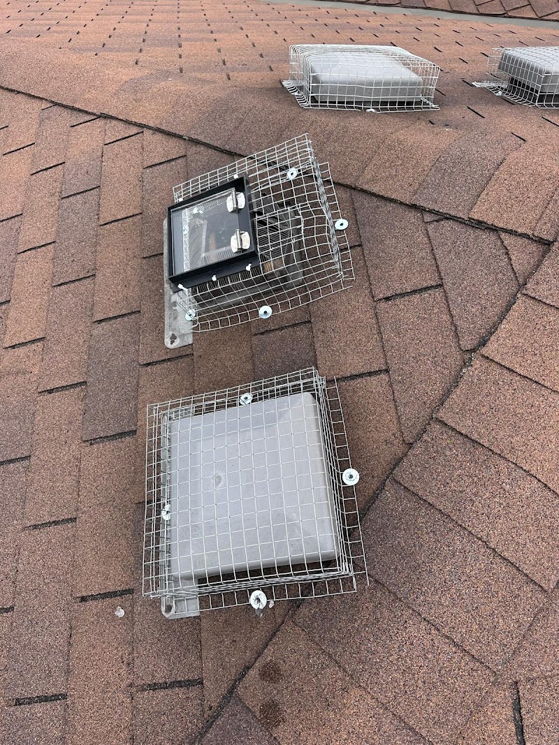 Acme Wildlife Removal And Pest Control Toronto photo 2