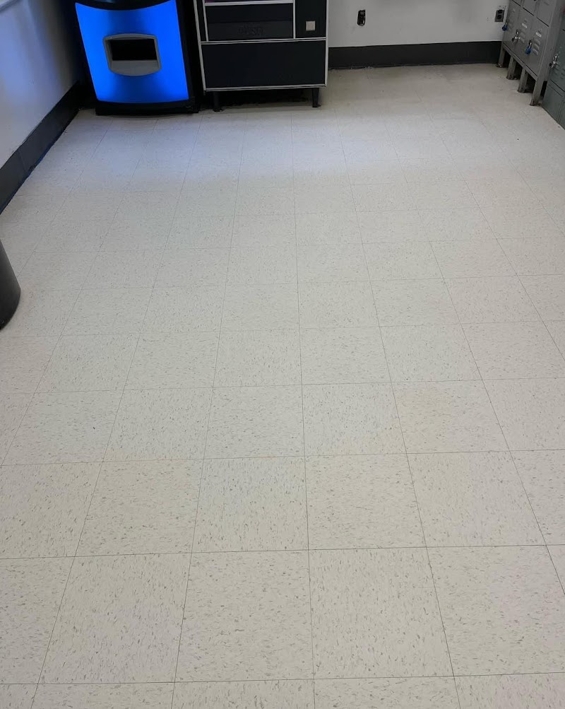 SKYREX Property Services - Mississauga photo 2