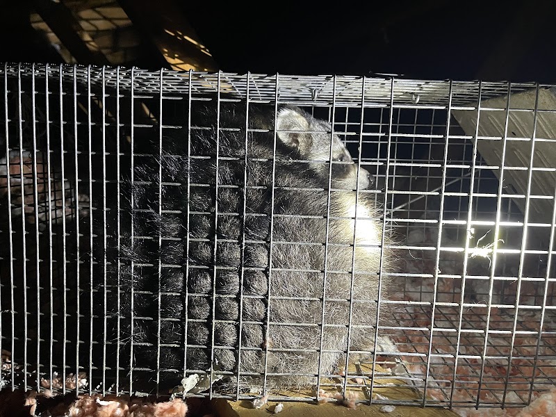 North Star Pest Control photo 1