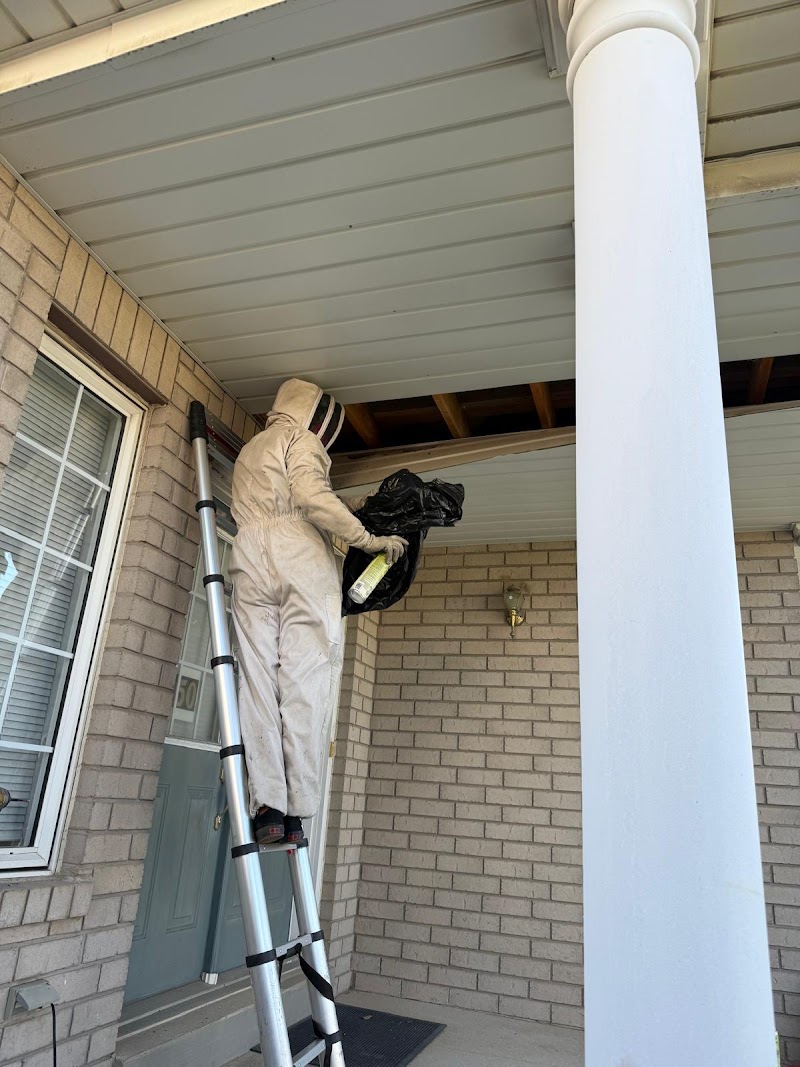 North Star Pest Control photo 2