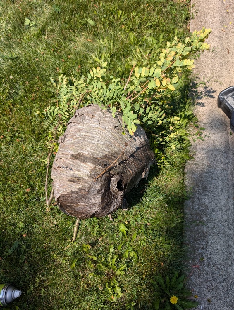 North Star Pest Control photo 4