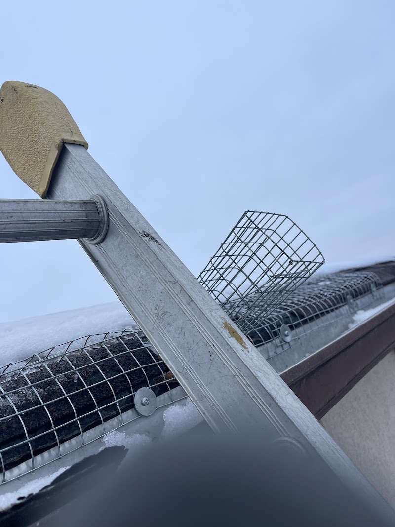 North Star Pest Control photo 5