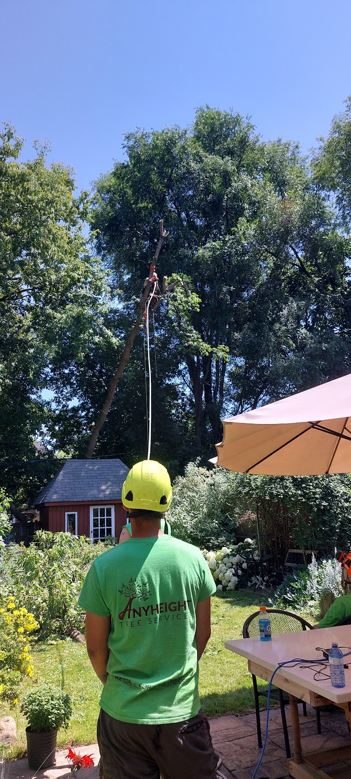 Any Height Tree Services photo 5