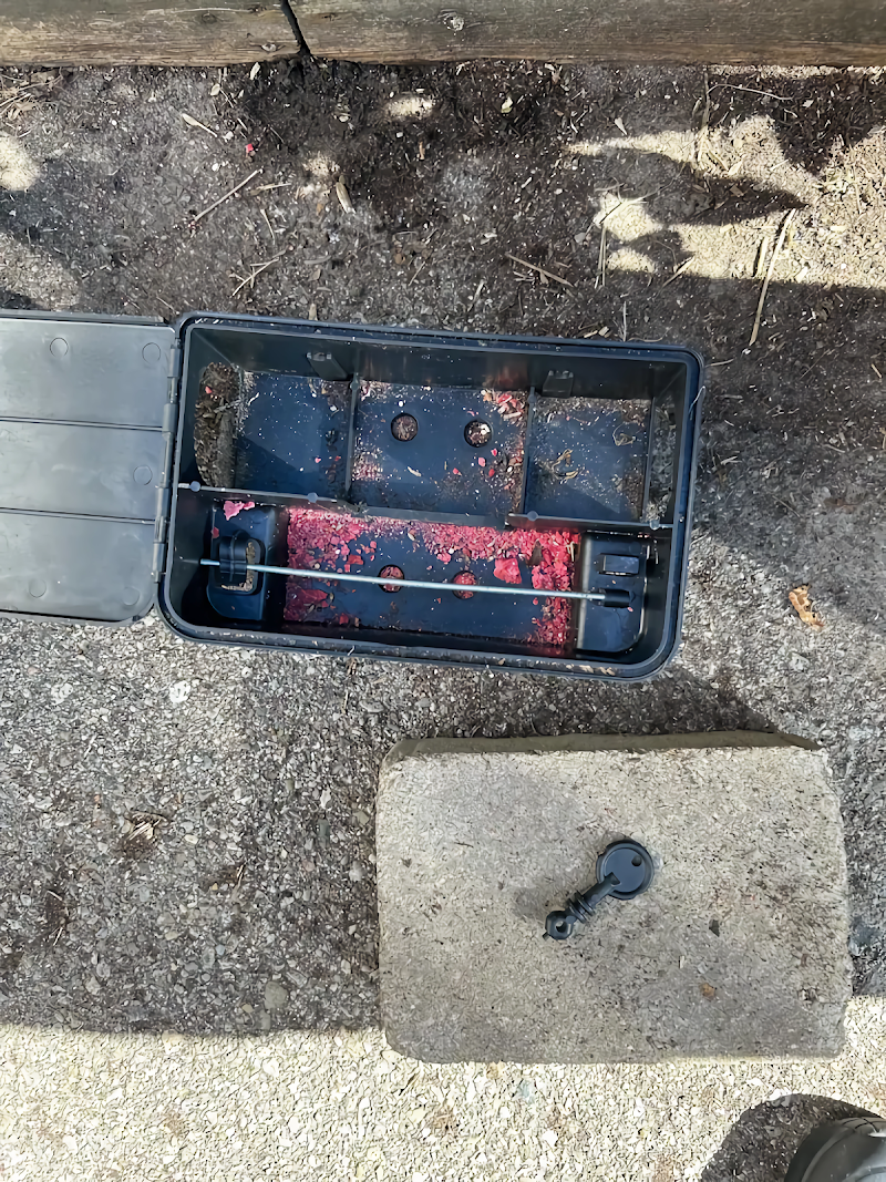 Promax Pest Control Scarborough photo 4