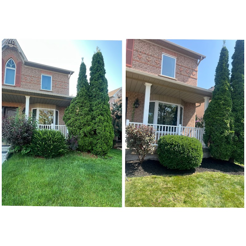 SS lawn care and snow removal photo 1