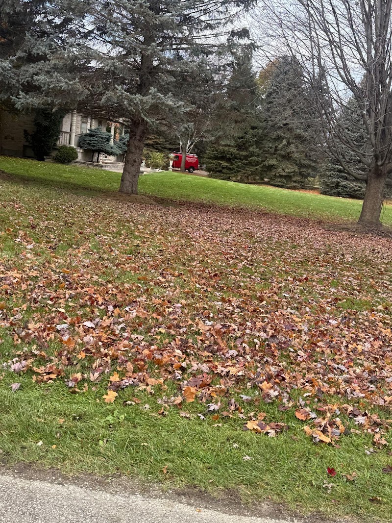 SS lawn care and snow removal photo 3