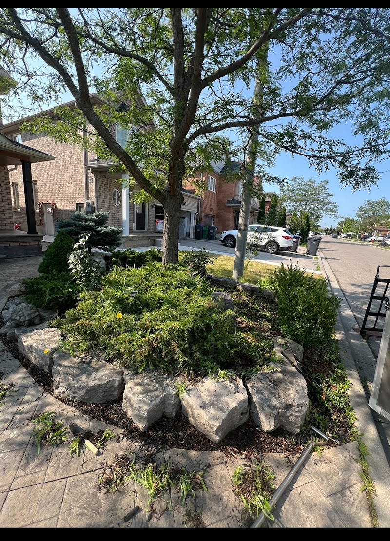 SS lawn care and snow removal photo 5