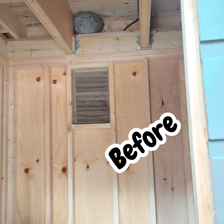 Ultimate Pest Solutions - Pest Control Toronto photo 3