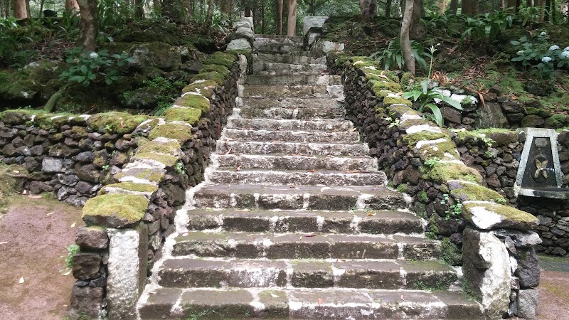 Stepnstone Landscaping photo 1