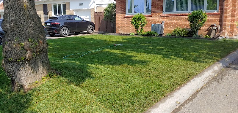 Stepnstone Landscaping photo 5