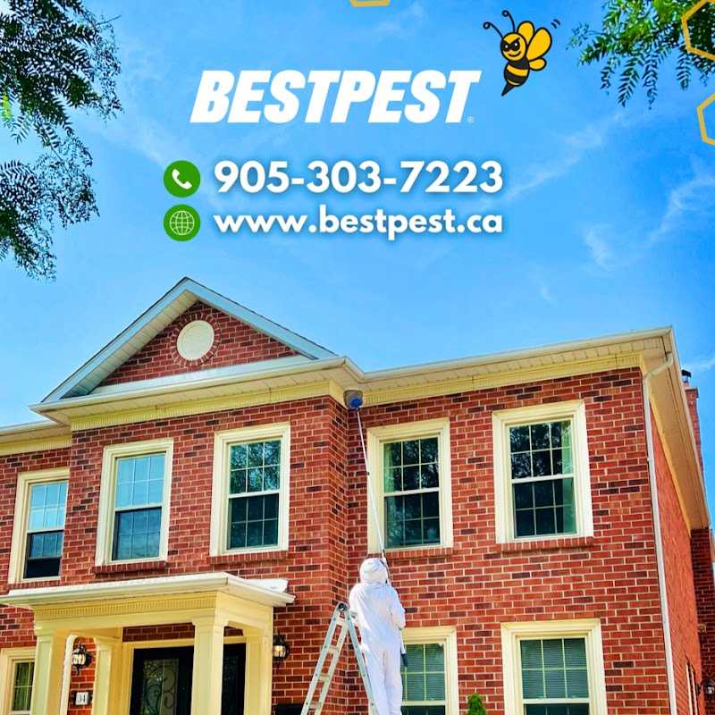 Bestpest Canada - Pest Control Toronto photo 1