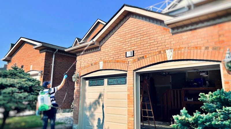Bestpest Canada - Pest Control Toronto photo 2