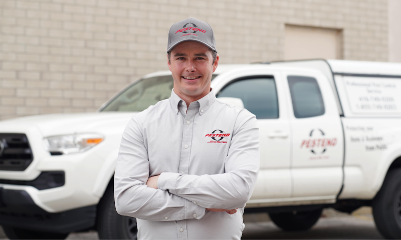 Pestend Pest Control Toronto photo 1