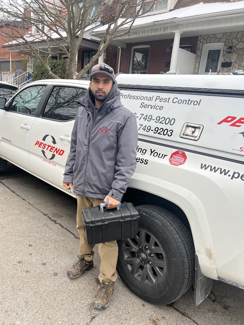 Pestend Pest Control Toronto photo 2