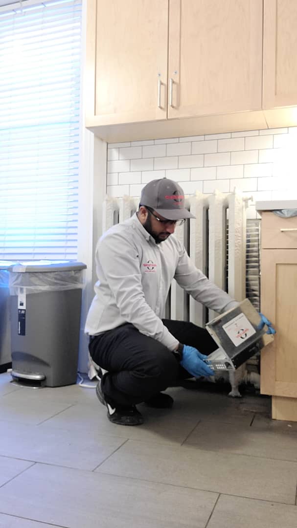 Pestend Pest Control Toronto photo 4