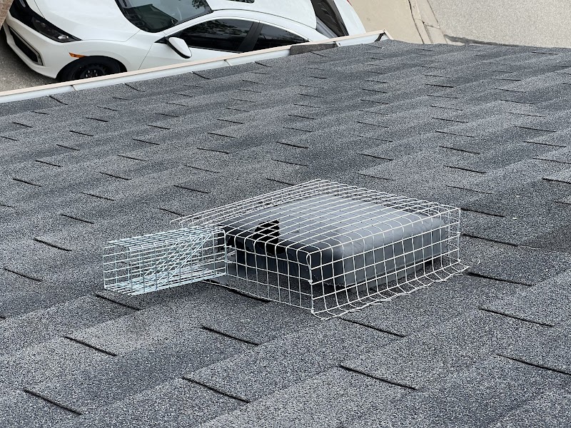 TSR Pest Control and Wildlife Removal Toronto photo 1