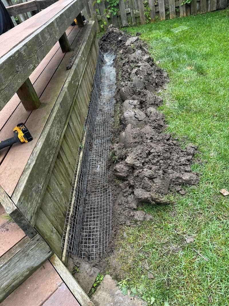 TSR Pest Control and Wildlife Removal Toronto photo 2