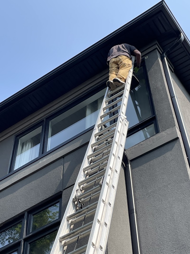 TSR Pest Control and Wildlife Removal Toronto photo 3