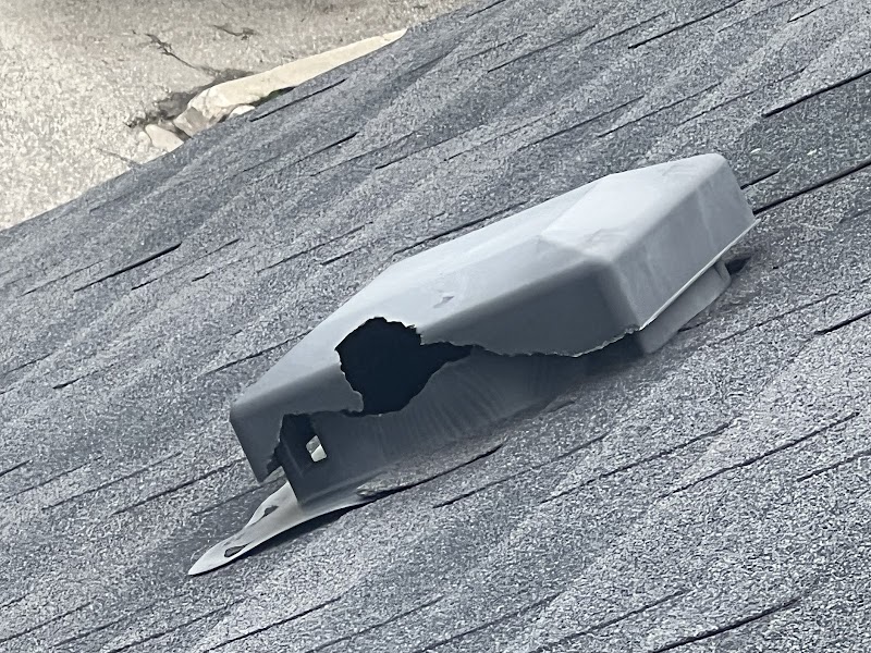 TSR Pest Control and Wildlife Removal Toronto photo 4