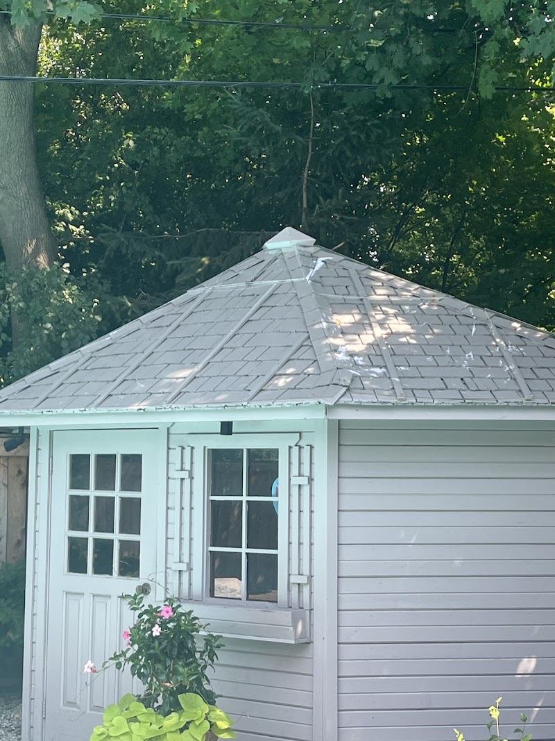 TSR Pest Control and Wildlife Removal Toronto photo 5