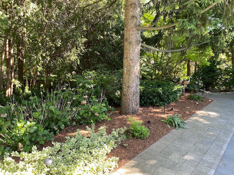 Caribou Cuts Lawn Care photo 4