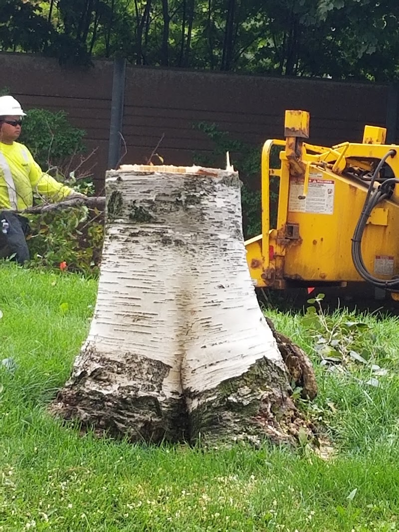 Davey Tree Expert Co. of Canada, Limited photo 2