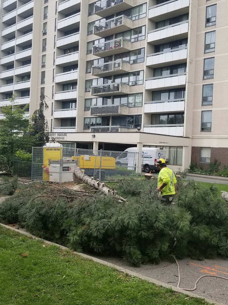 Davey Tree Expert Co. of Canada, Limited photo 4