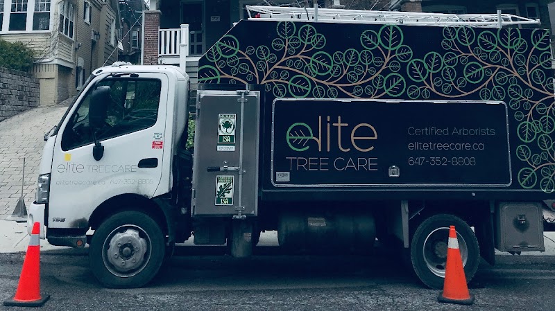 Elite Tree Care photo 1