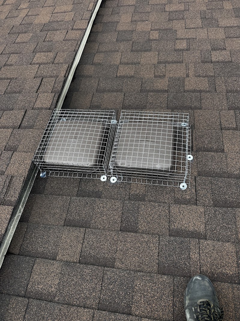 Wise Pest Solutions photo 2