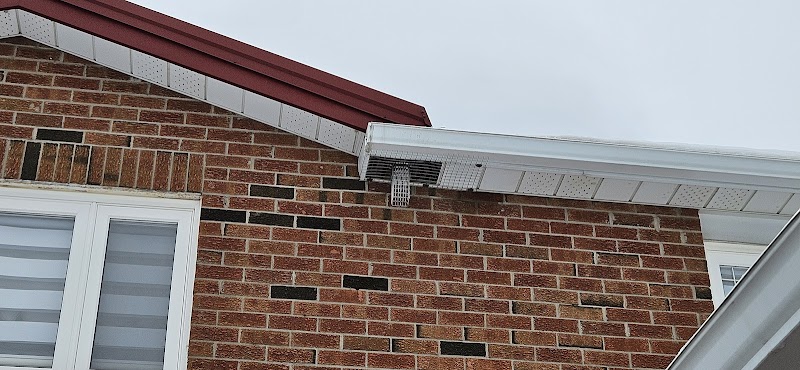 Wise Pest Solutions photo 5