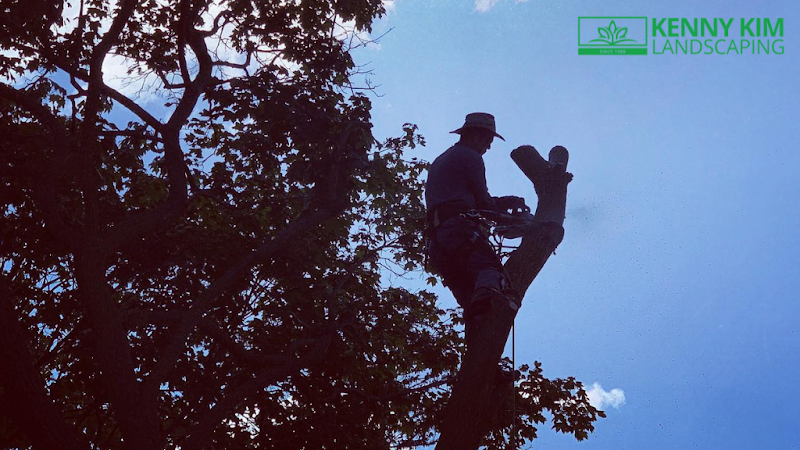 Kenny Kim Landscaping photo 1