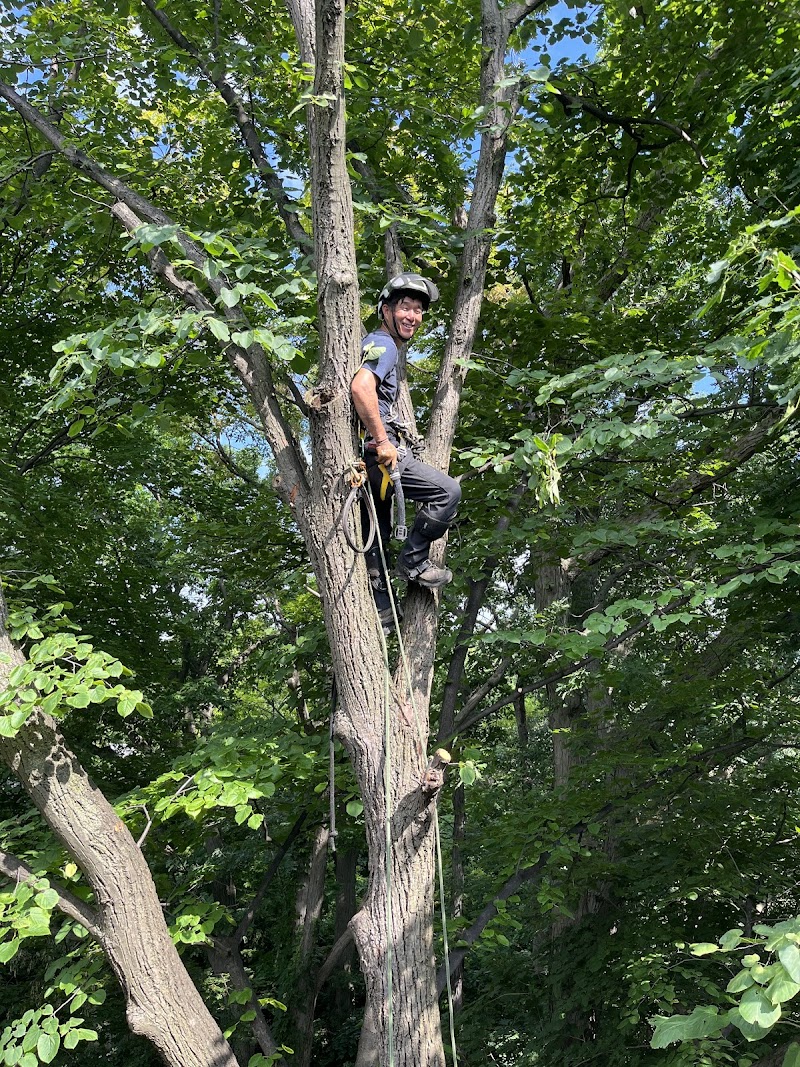 Kenny Kim Landscaping photo 5