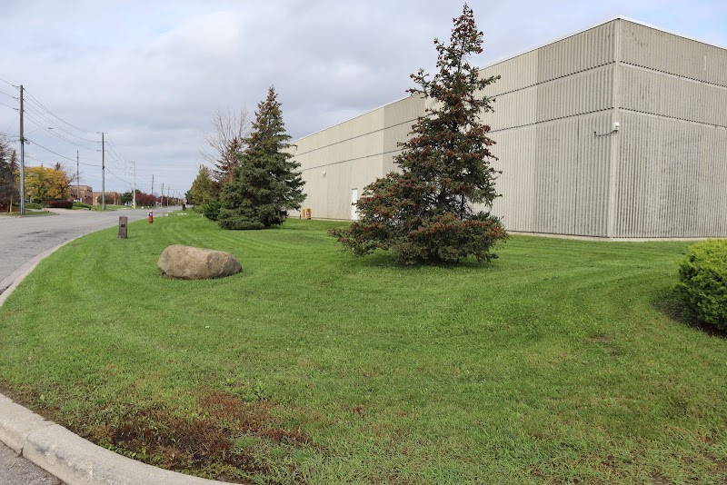 Roseview Landscaping photo 4