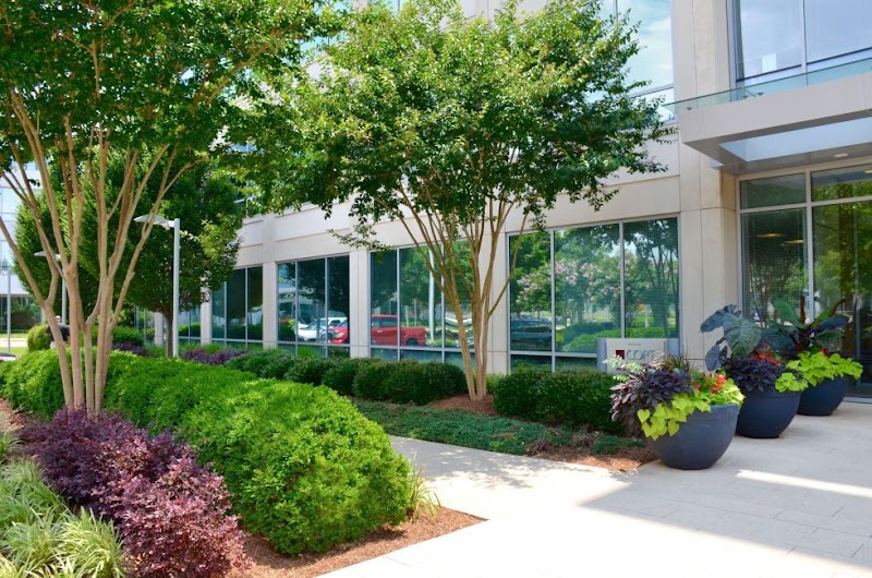 Roseview Landscaping photo 5