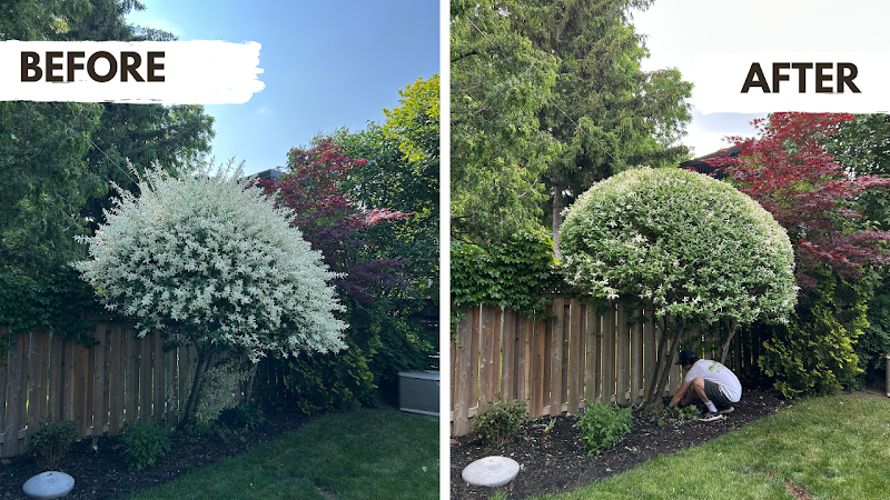 Green Trail Lawn Care photo 4