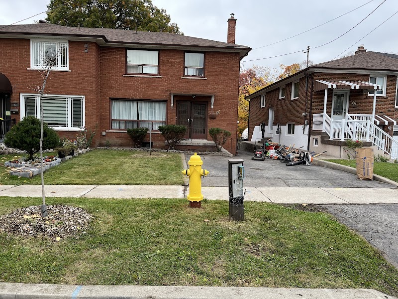 Garden Shine photo 3