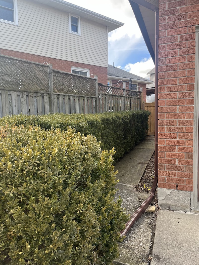 Garden Shine photo 4