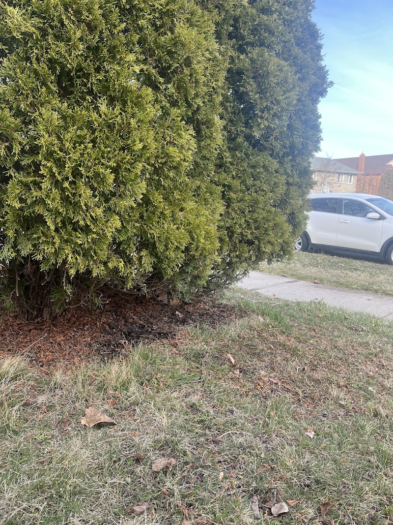 Garden Shine photo 5